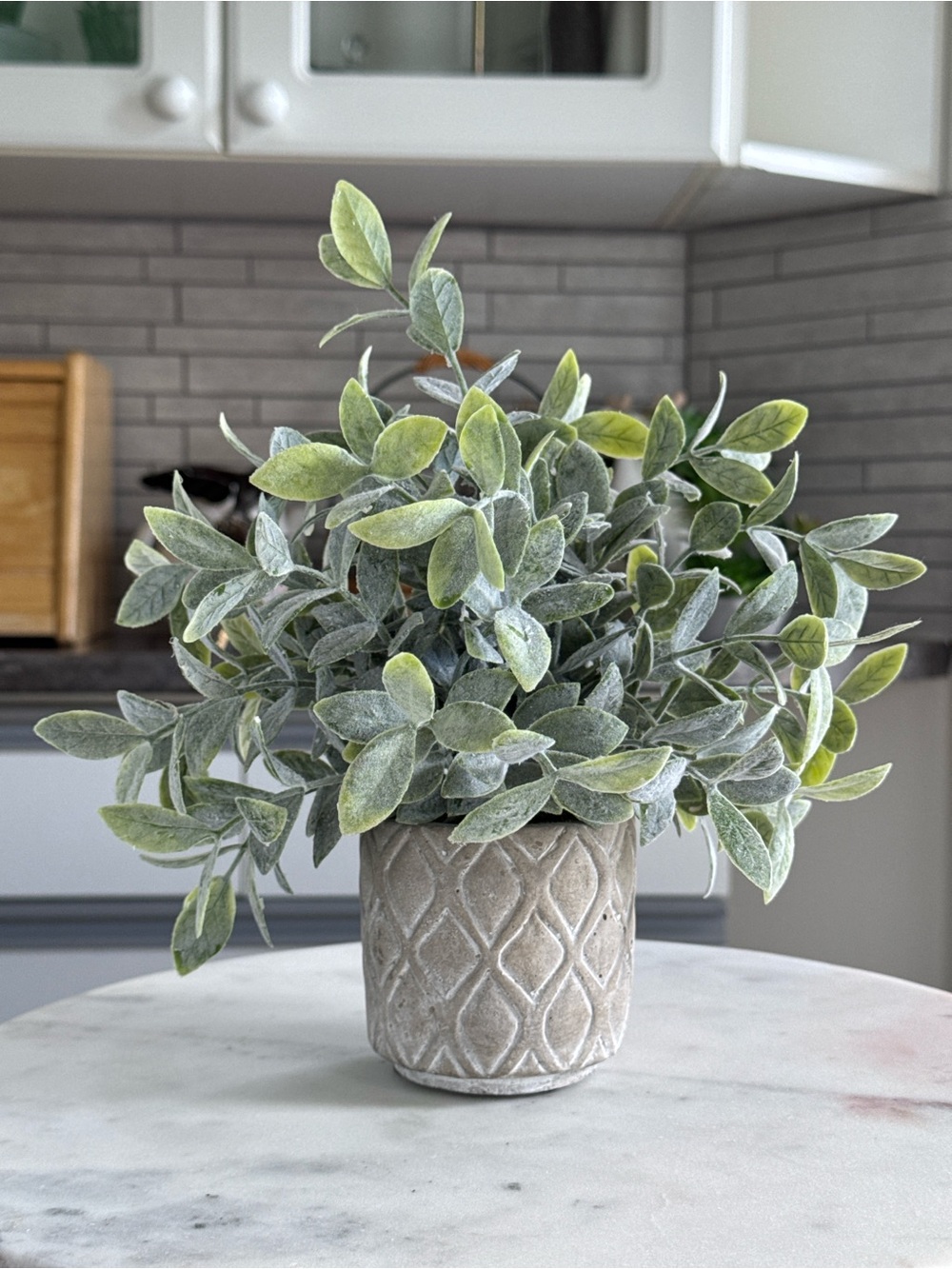 Faux Sage or Lamb’s Ear Plant in Textured Stone Style Pot Home Decor